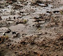 Image result for Mud Photography