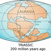 Image result for Earth 200 Million Years Ago
