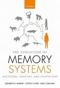 Image result for Evolution of Memory