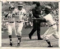Image result for Little League Baseball 1960s