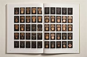 Image result for James and Other Apes