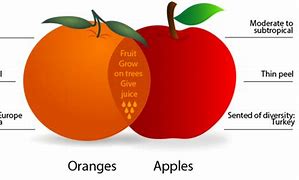 Image result for Apple and Orange On Same Tree