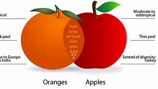 Image result for Examples of Comparing Apples and Oranges