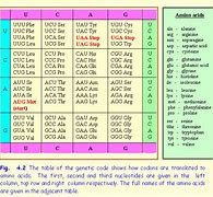 Image result for Nucleotide Gene DNA Chromosome