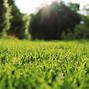 Image result for Lawn Care Background