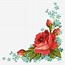 Image result for Red Rose Borders and Frames