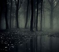 Image result for Creepy Forest Wallpaper