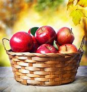 Image result for A Basket Full of Apple Fruit