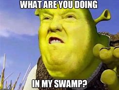 Image result for What Are You Doing in My Swamp Background