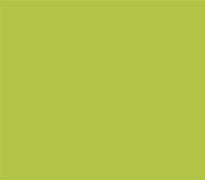 Image result for Solid Lime Green