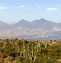 Image result for Tucson Arizona Desert