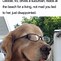 Image result for Relatable Dog Memes