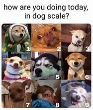 Image result for Dog Mood Meme