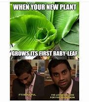 Image result for Plant Memes
