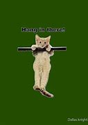 Image result for Hang in There Cat Meme