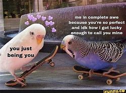 Image result for I Love You so Get Used to It Meme Pics