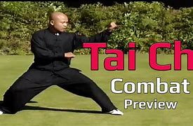 Image result for Tai Chi Fighting