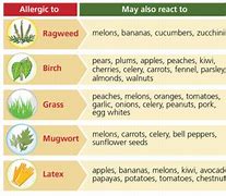 Image result for Birch Pollen Allergy Foods
