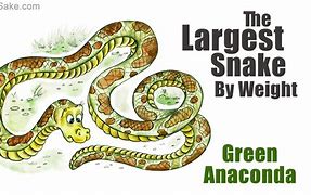 Image result for Biggest Snake in the World Guinness