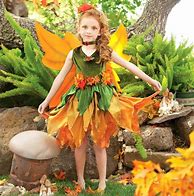 Image result for Autumn Fairy Costume