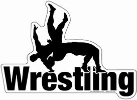 Image result for Wrestling Gear Logo