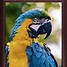Image result for Size Frame for 11X14 Picture