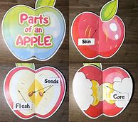 Image result for Parts of an Apple Preschool