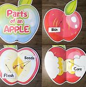 Image result for Parts of an Apple Craft