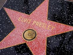 Image result for Hollywood Walk of Fame Ornament