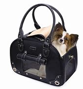 Image result for Purse Dogs