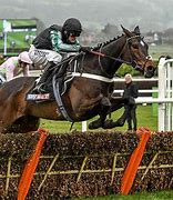 Image result for Horse Hurdle Race