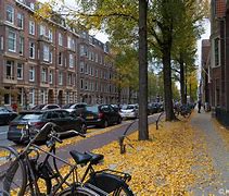 Image result for Netherlands Neighborhoods