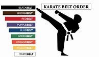 Image result for Martial Arts Belt Levels