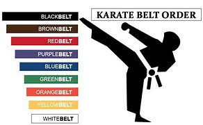 Image result for Types of Karate Martial Arts