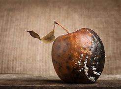 Image result for Beautiful Apple with a Rotten Core