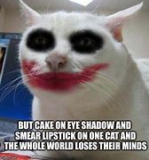 Image result for Joker Cat Même