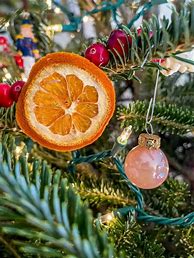 Image result for Dried Fruit Garland