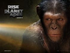 Image result for Planet of Apes Twitter Meme