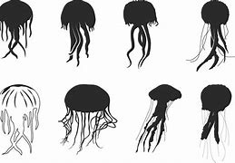 Image result for Jellyfish Silhouette