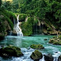 Image result for Guatemala Rainforest