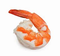 Image result for Shrimp Tail