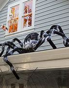 Image result for Big Spider Halloween