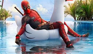 Image result for 2560X1440 Funny Wallpaper
