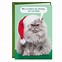 Image result for Funny Christmas Cards with Cats