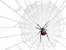 Image result for Transparent Halloween Spider Web