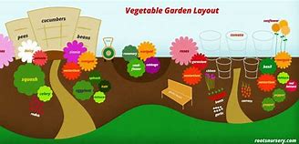 Image result for Plant Layout