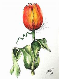 Image result for Tulip Pen and Ink