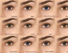 Image result for Monthly Reusable Contact Lenses
