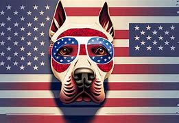 Image result for Pit Bull American Flag Images