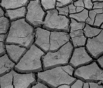 Image result for Cracked Mud